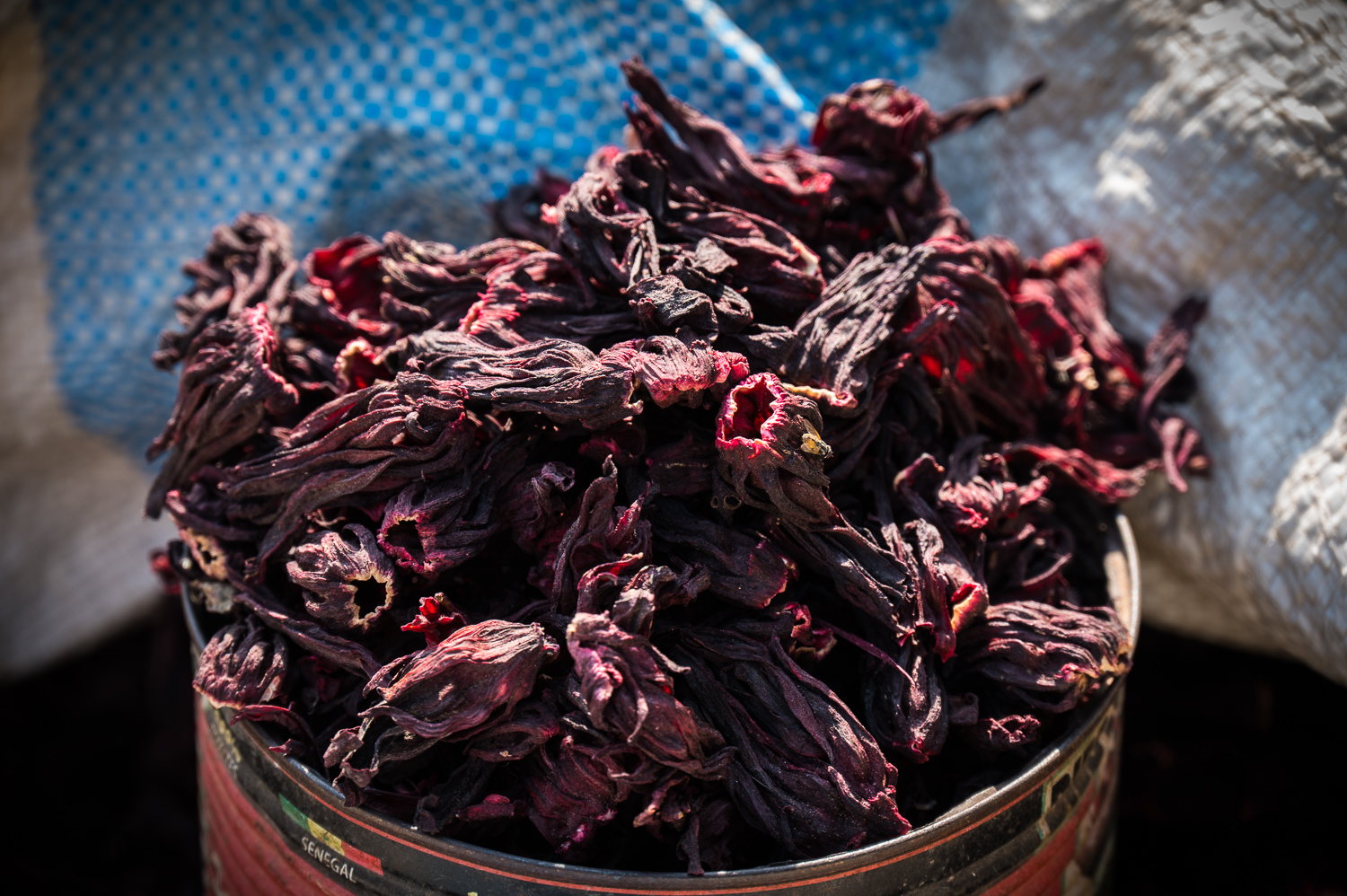 Fleurs d'hibiscus. Elles servent à faire le Bissap