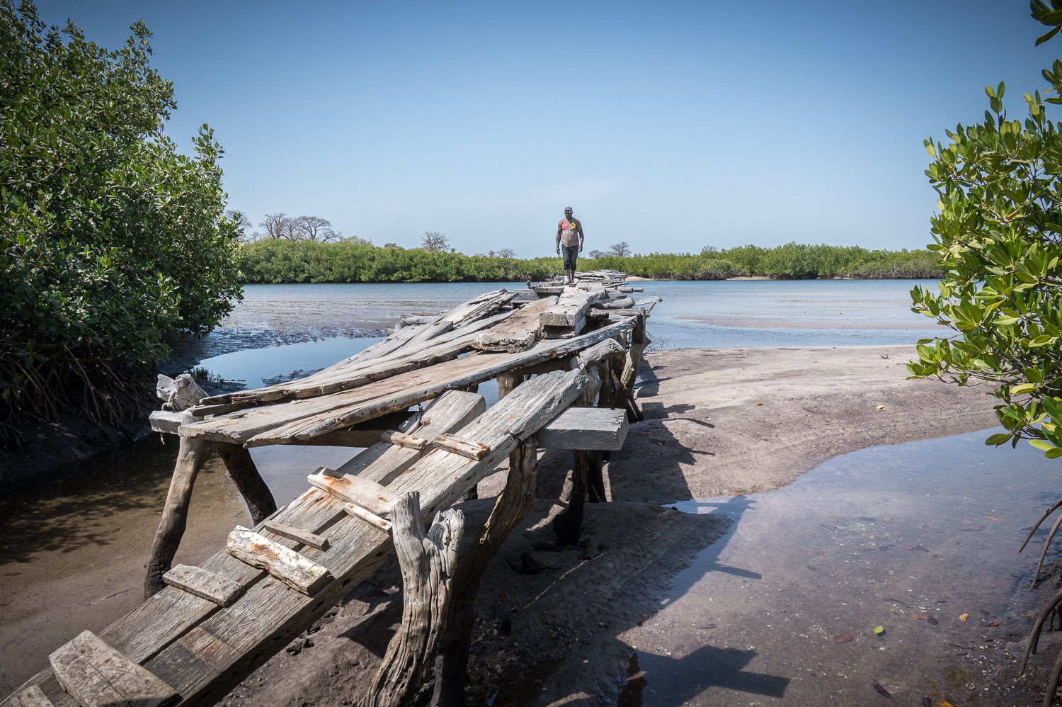 La passerelle en bois